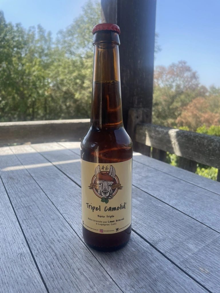 Photo de la Lama Brassoú "Tripel Camelid'"